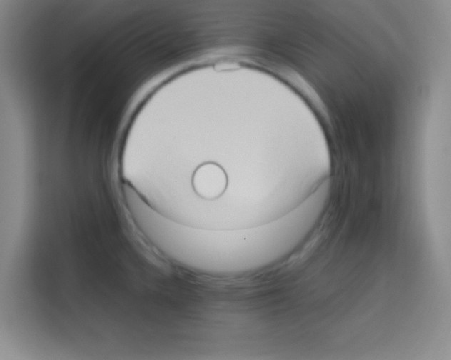 X0000112971336200910081038