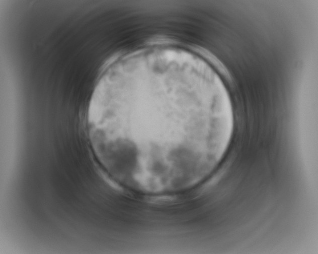 X0000112971337200910081038