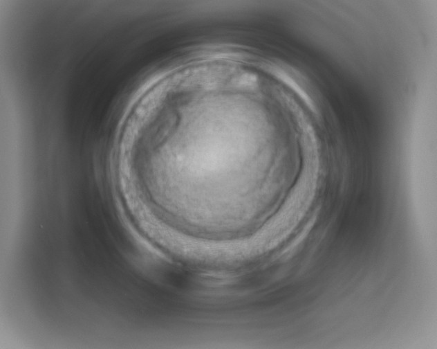 X0000112971338200910081038