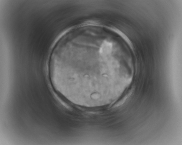 X0000112971341200910081038