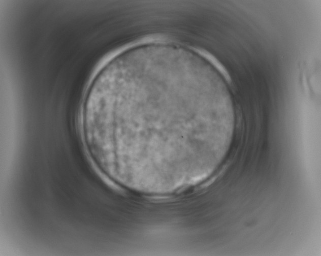 X0000112971343200910081038