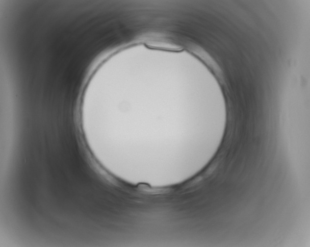 X0000112971344200910081038