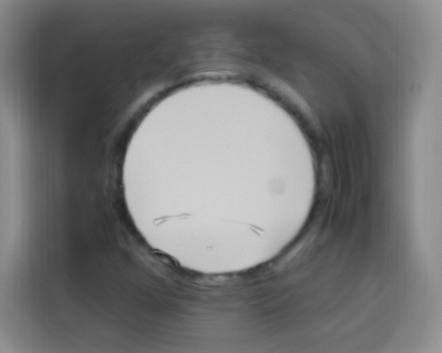 X0000112971352200910081037
