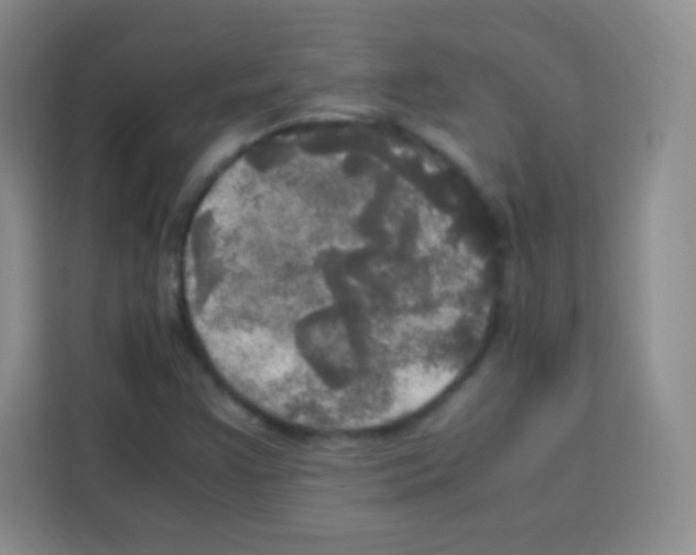 X0000112971355200910081037