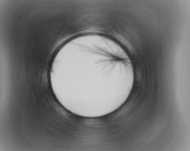 X0000112971356200910081037