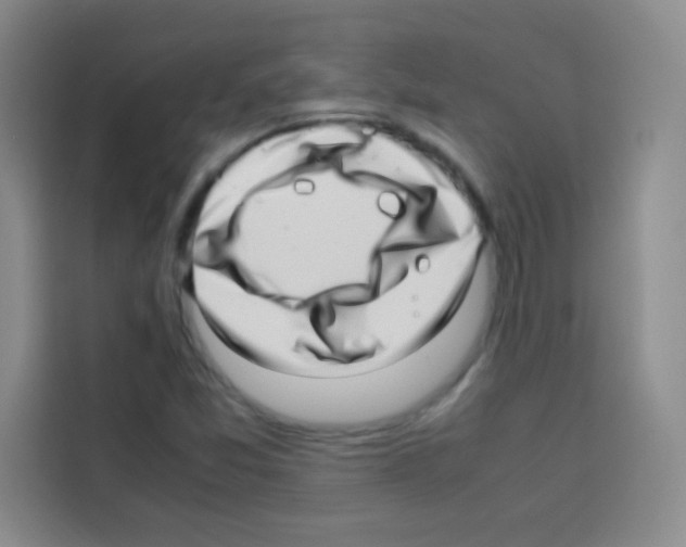 X0000112971357200910081037