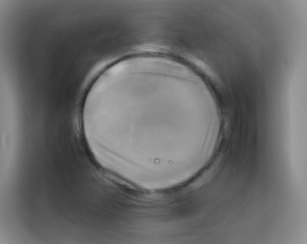 X0000112971358200910081037