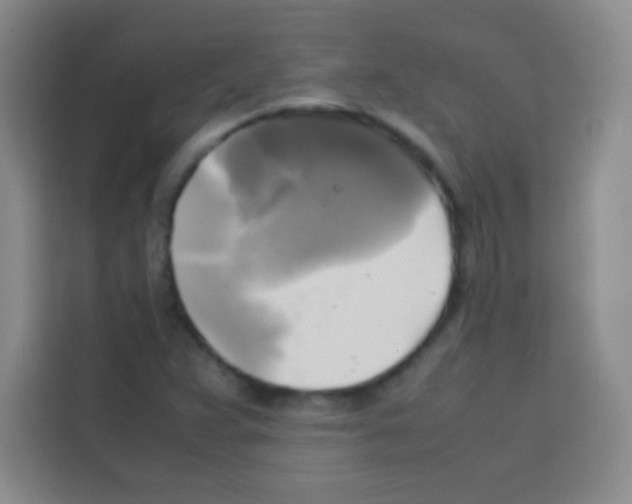 X0000112971359200910081037