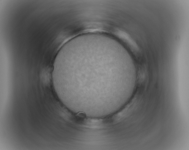 X0000112971361200910081037