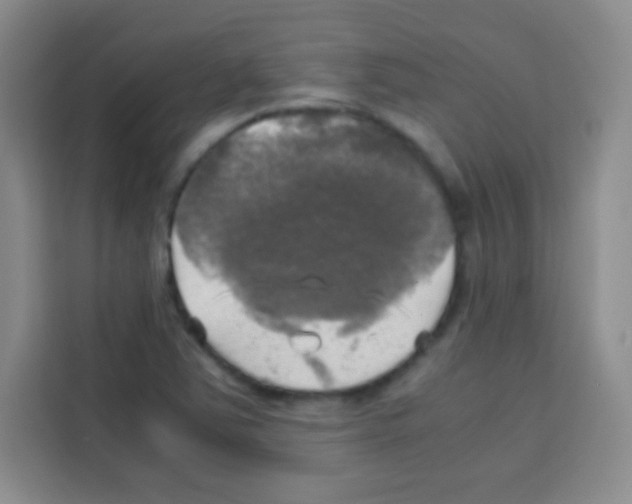 X0000112971363200910081037