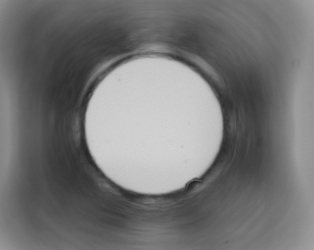 X0000112971364200910081037