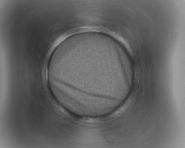 X0000112971365200910081037