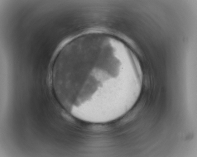 X0000112971366200910081037