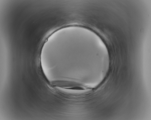 X0000112971367200910081037