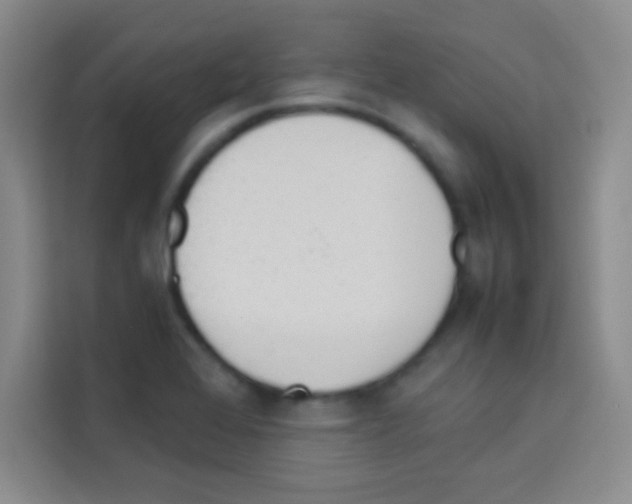 X0000112971368200910081037