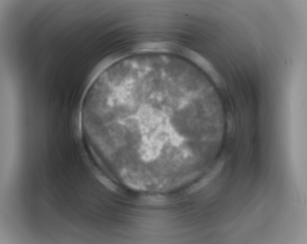 X0000112971370200910081037