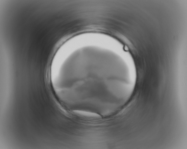 X0000112971371200910081037