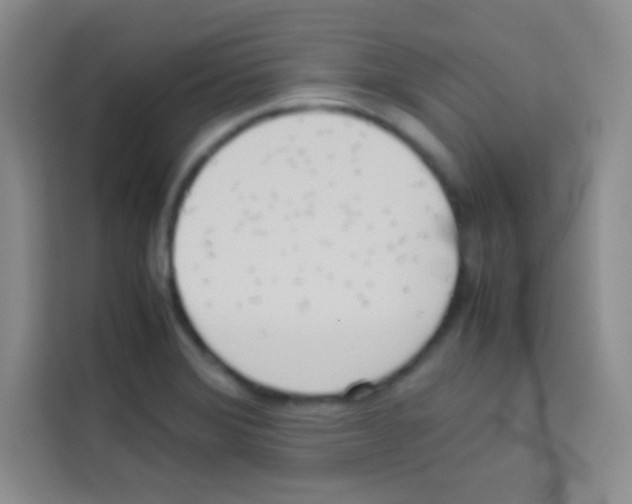 X0000112971372200910081037