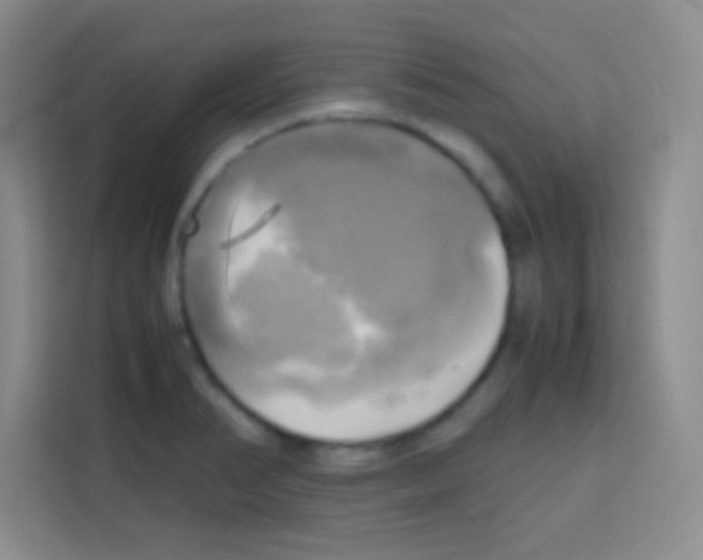 X0000112971374200910081037