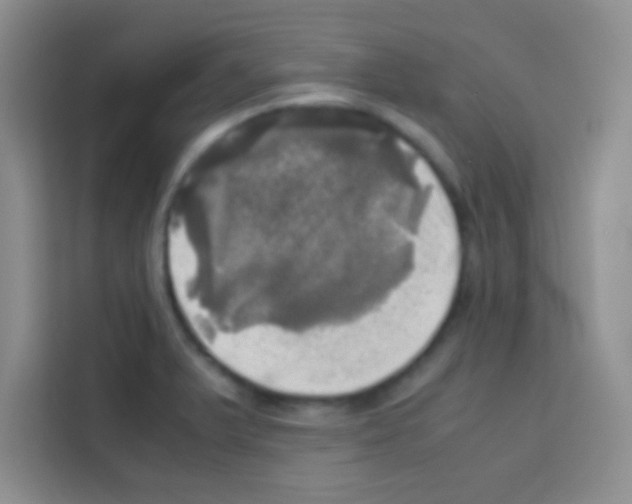 X0000112971375200910081037