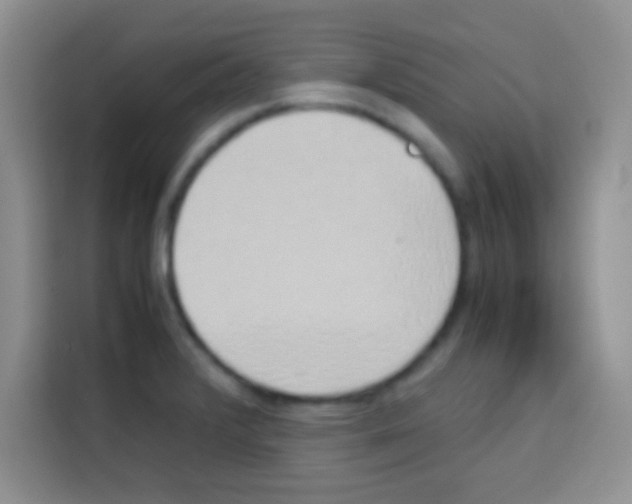 X0000112971376200910081037