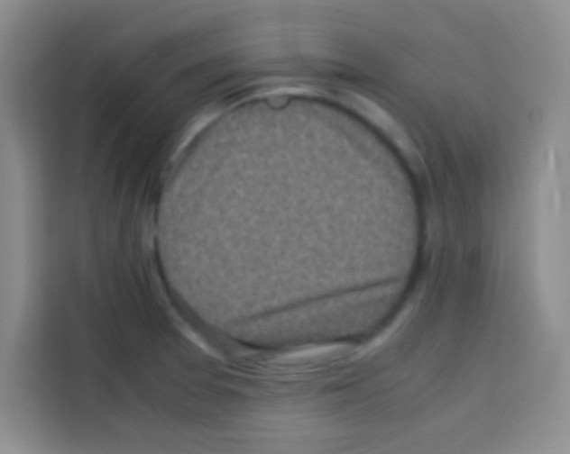 X0000112971377200910081037