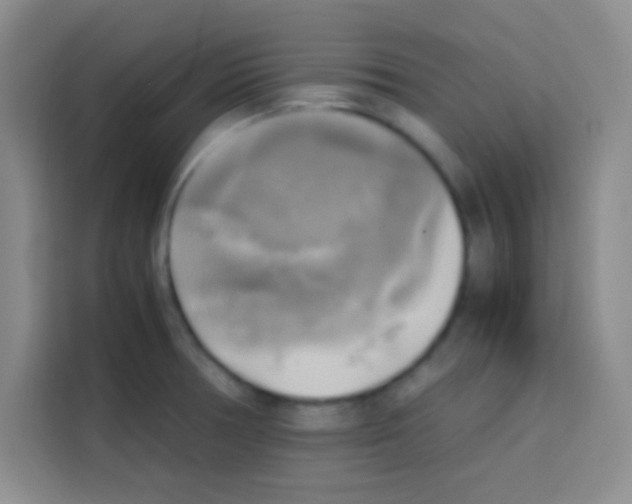 X0000112971378200910081037