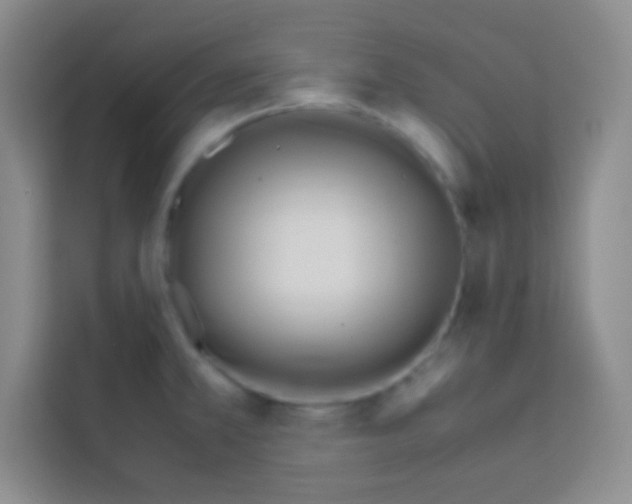 X0000112971381200910081037