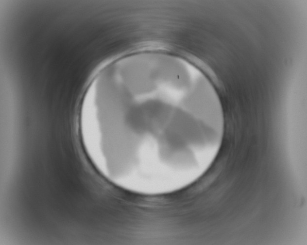 X0000112971383200910081037