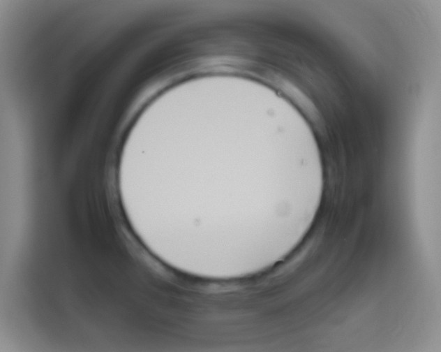 X0000112971384200910081037