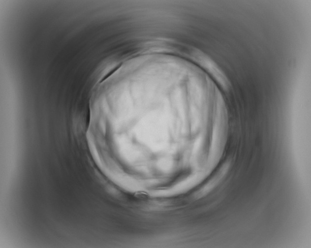 X0000112971385200910081037