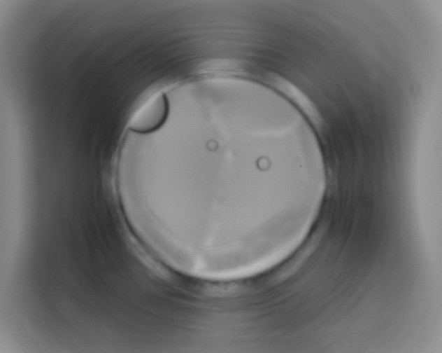 X0000112971386200910081037