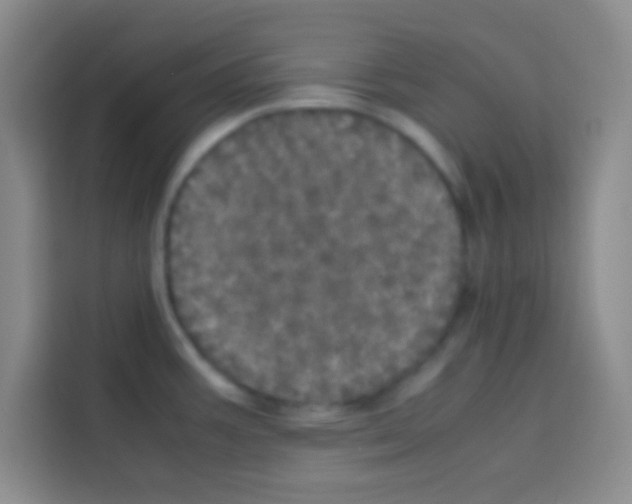 X0000112971387200910081037