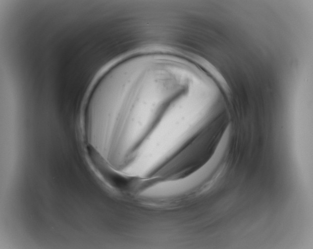 X0000112971388200910081037