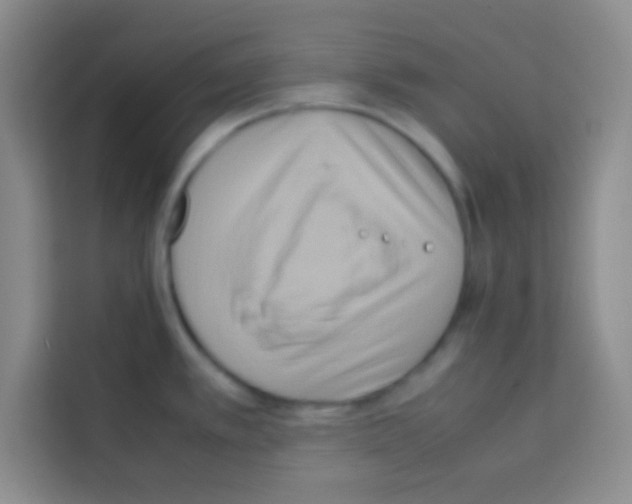 X0000112971389200910081037