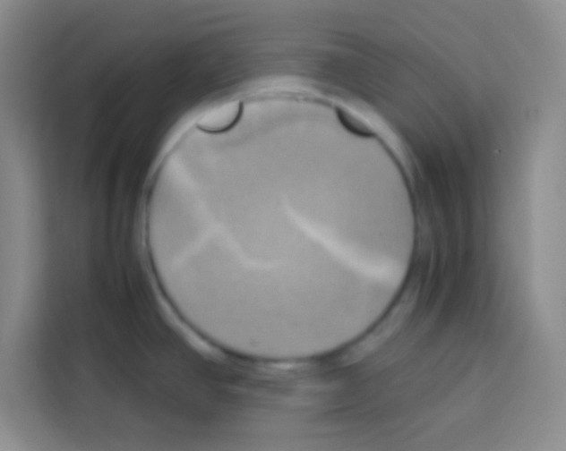 X0000112971390200910081037