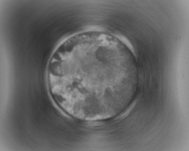 X0000112971391200910081037