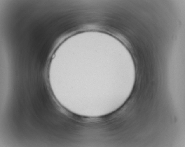 X0000112971392200910081037