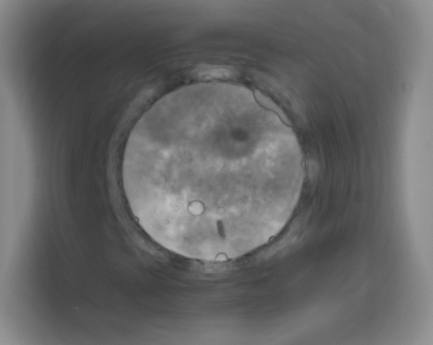 X0000112971393200910081036