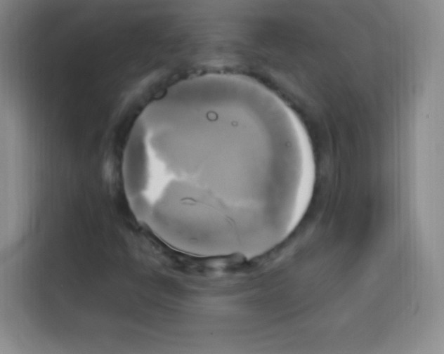 X0000112971398200910081036