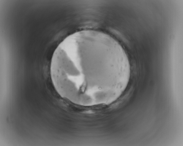 X0000112971399200910081036