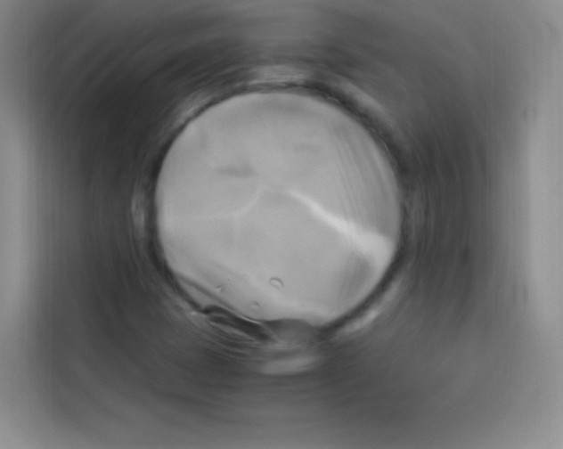 X0000112971401200910081036