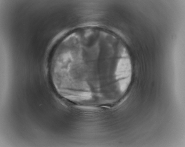 X0000112971406200910081036