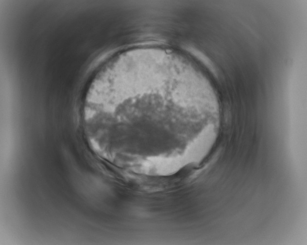 X0000112971407200910081036
