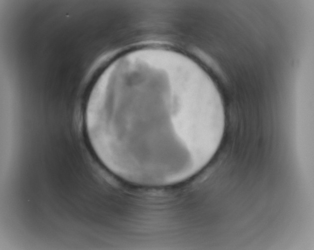 X0000112971408200910081036