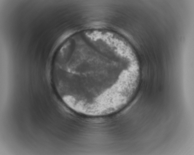 X0000112971410200910081036