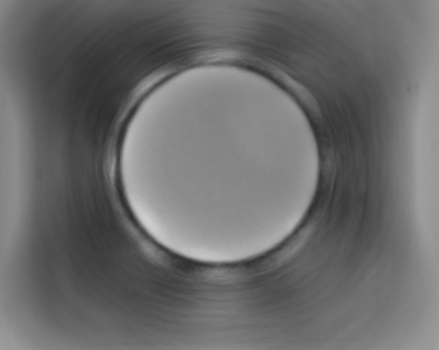 X0000112971418200910081036