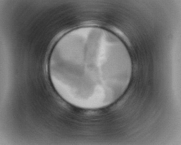 X0000112971419200910081036