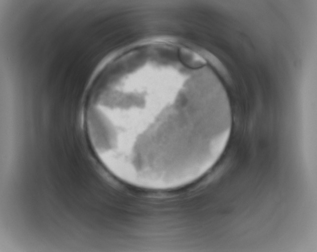 X0000112971420200910081036