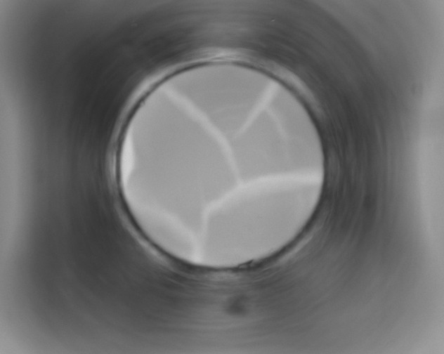 X0000112971424200910081036
